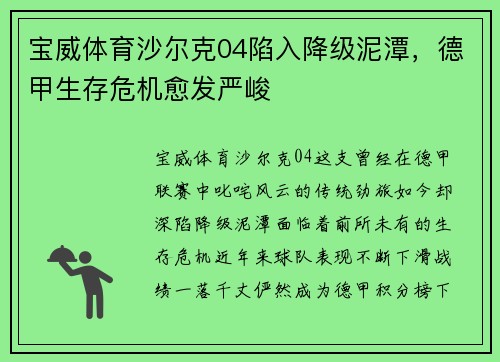 宝威体育沙尔克04陷入降级泥潭，德甲生存危机愈发严峻
