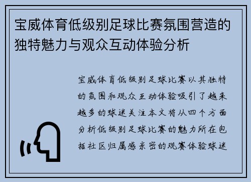 宝威体育低级别足球比赛氛围营造的独特魅力与观众互动体验分析