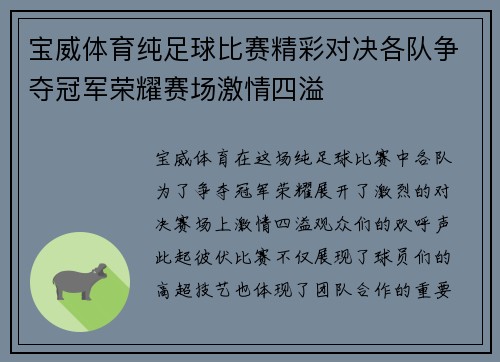 宝威体育纯足球比赛精彩对决各队争夺冠军荣耀赛场激情四溢